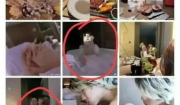 北极鲶鱼最新爆料视频,揭秘事件背后惊人内幕