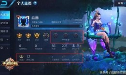 王者樱花爆料视频大全最新,揭秘游戏新内容与精彩瞬间