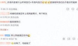 网易老总爆料最新消息,最新战略布局与行业动态深度解析