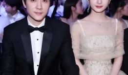 冯绍峰的儿子最新爆料,成长点滴与家庭温馨瞬间