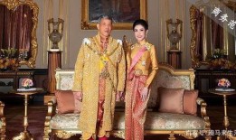 安德鲁最新爆料贵妃视频